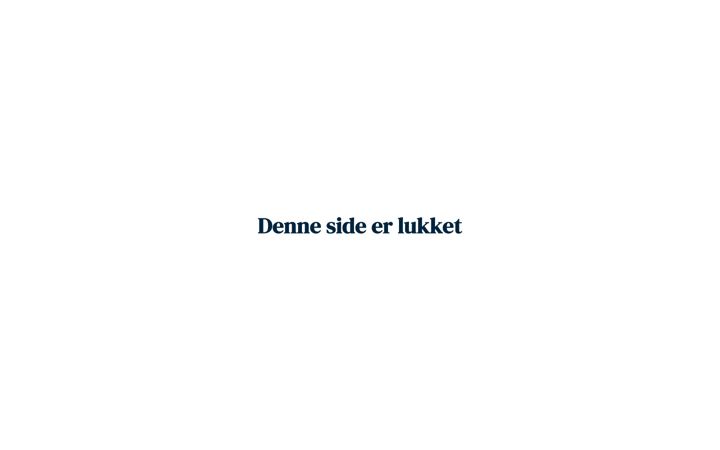Screenshot of konsulenthusetholm.dk