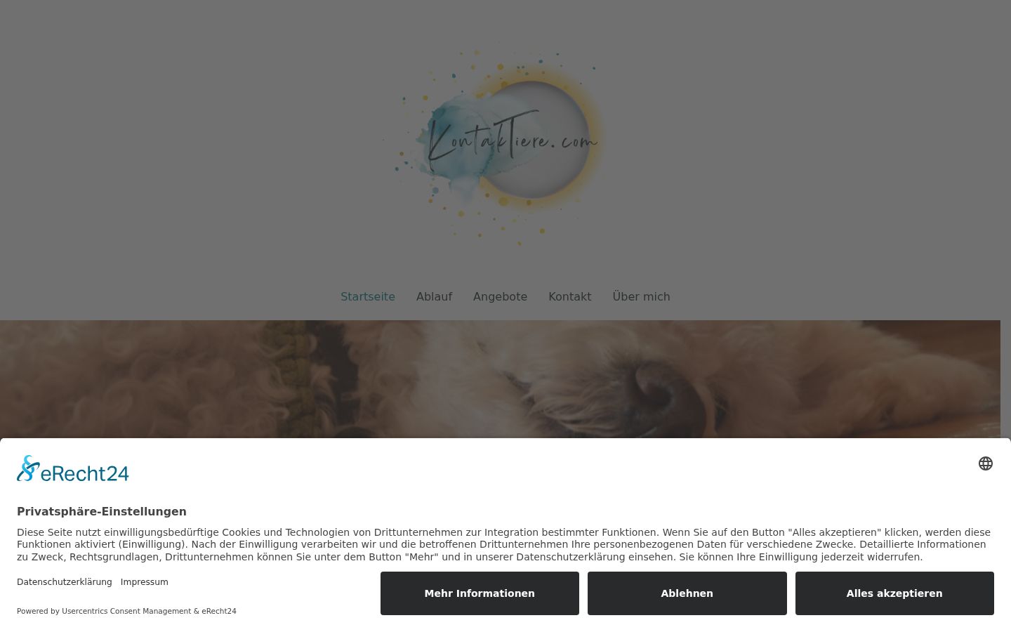 Captura de pantalla del banner de consentimiento mostrado antes de cualquier interacción