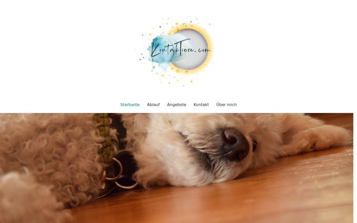 Screenshot of kontaktiere.com