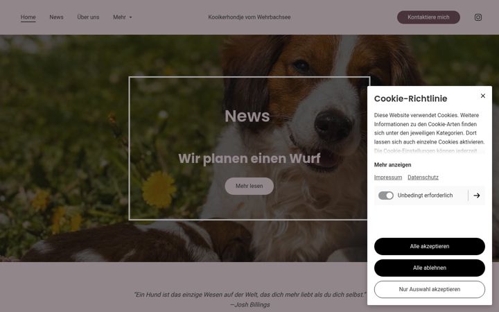 Screenshot of kooikerhondje-vom-wehrbachsee.de