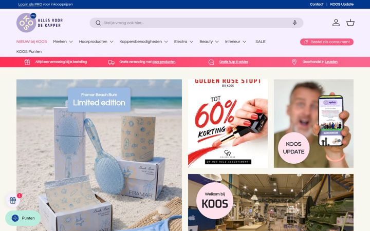 Screenshot of koosvanderbeek.nl