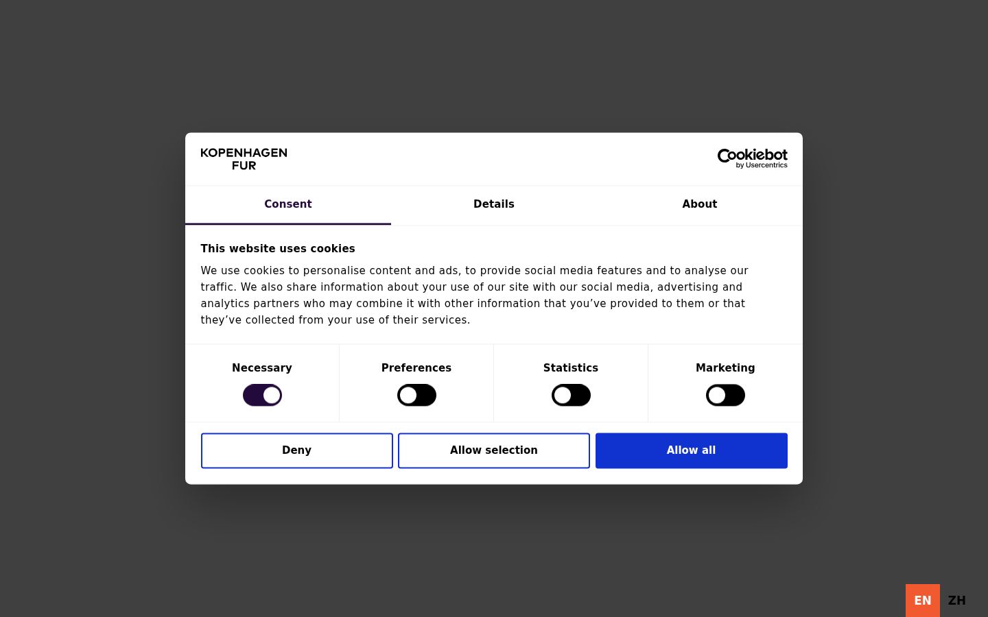 Screenshot of the consent banner shown before any interaction