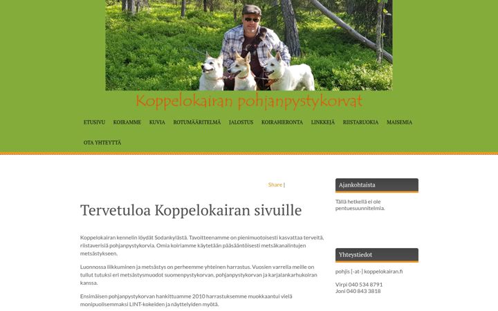 Screenshot of koppelokairan.fi