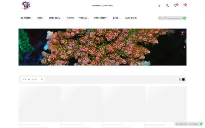 Screenshot of korallen-phil.ch