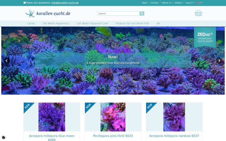Screenshot of korallen-zucht.de