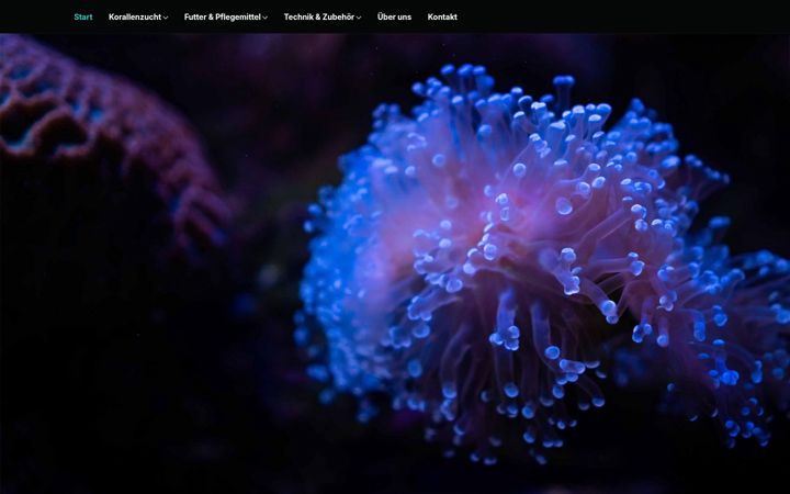 Screenshot of korallenzucht-franke.com