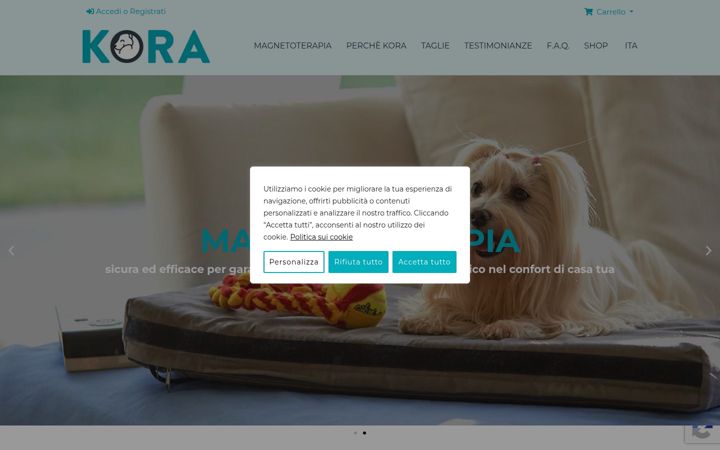 Screenshot of koratherapy.com