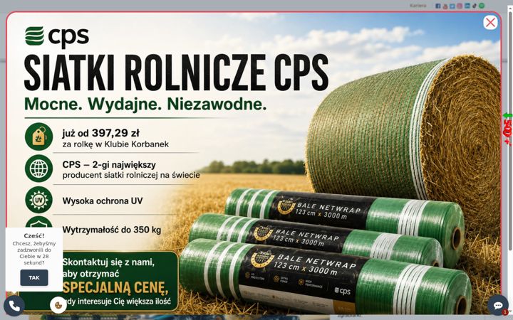 Screenshot of korbanek.pl