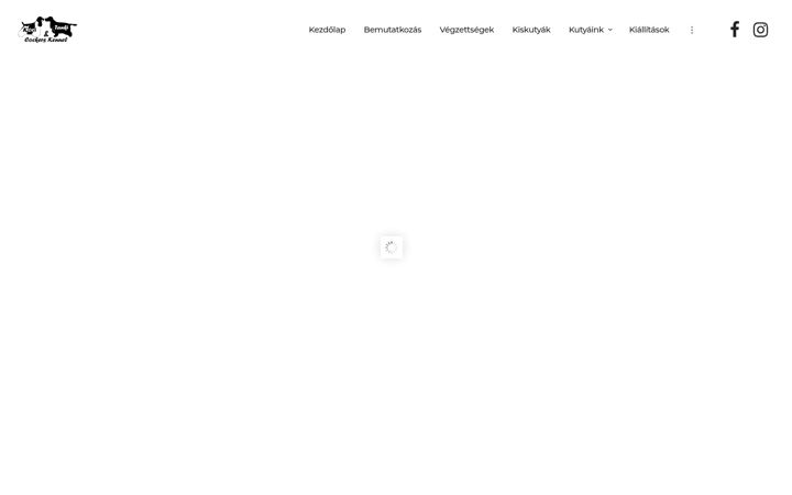 Screenshot of koricockers.hu