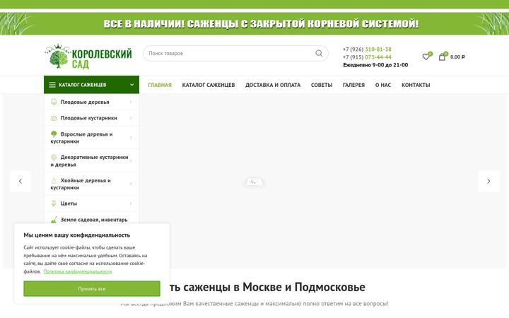 Screenshot of korolevskysad.ru