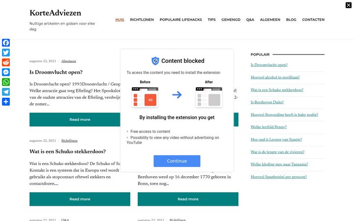Screenshot of korte-adviezen.com