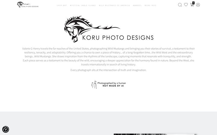Screenshot of koruphotodesigns.com