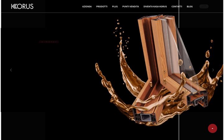 Screenshot von korusweb.com