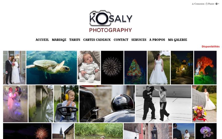 Snimka zaslona za kosaly-photography.com