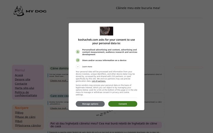 Screenshot of koshachek.com