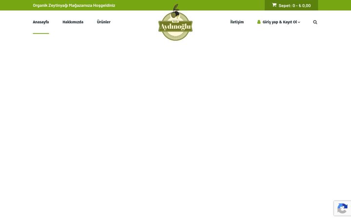 Screenshot of koskaydinoglu.com