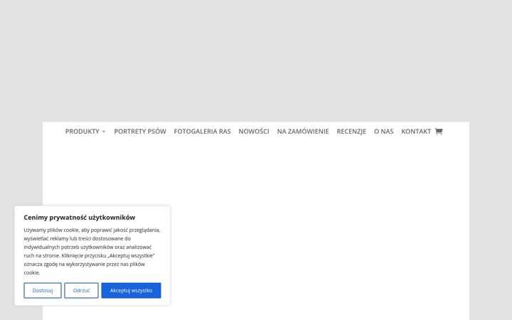 Screenshot of kostgallery.com