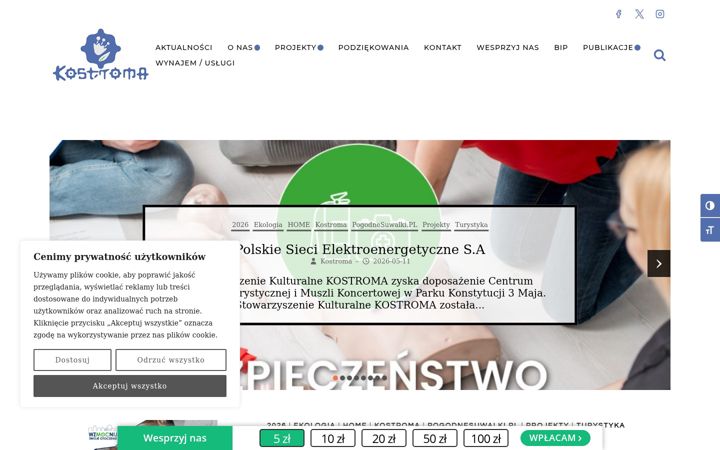 Screenshot of kostroma.pl
