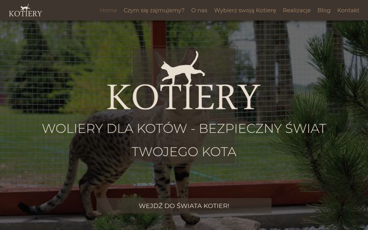 Screenshot of kotiery.pl