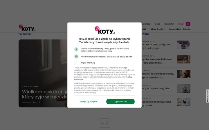 Screenshot of koty.pl