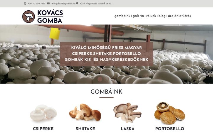 Screenshot von kovacsgomba.hu