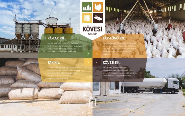 Screenshot of kovesigroup.hu