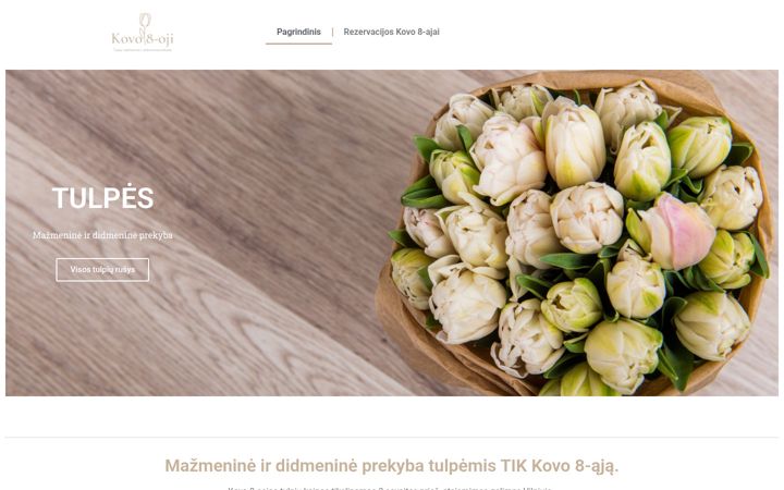 Screenshot of kovo8.lt