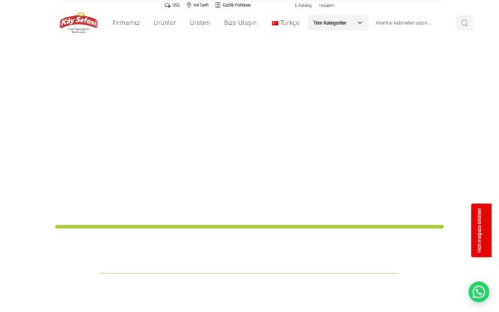 Screenshot of koysefasi.com.tr