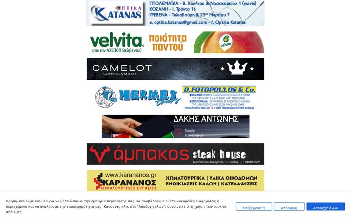 Screenshot of kozanilife.gr
