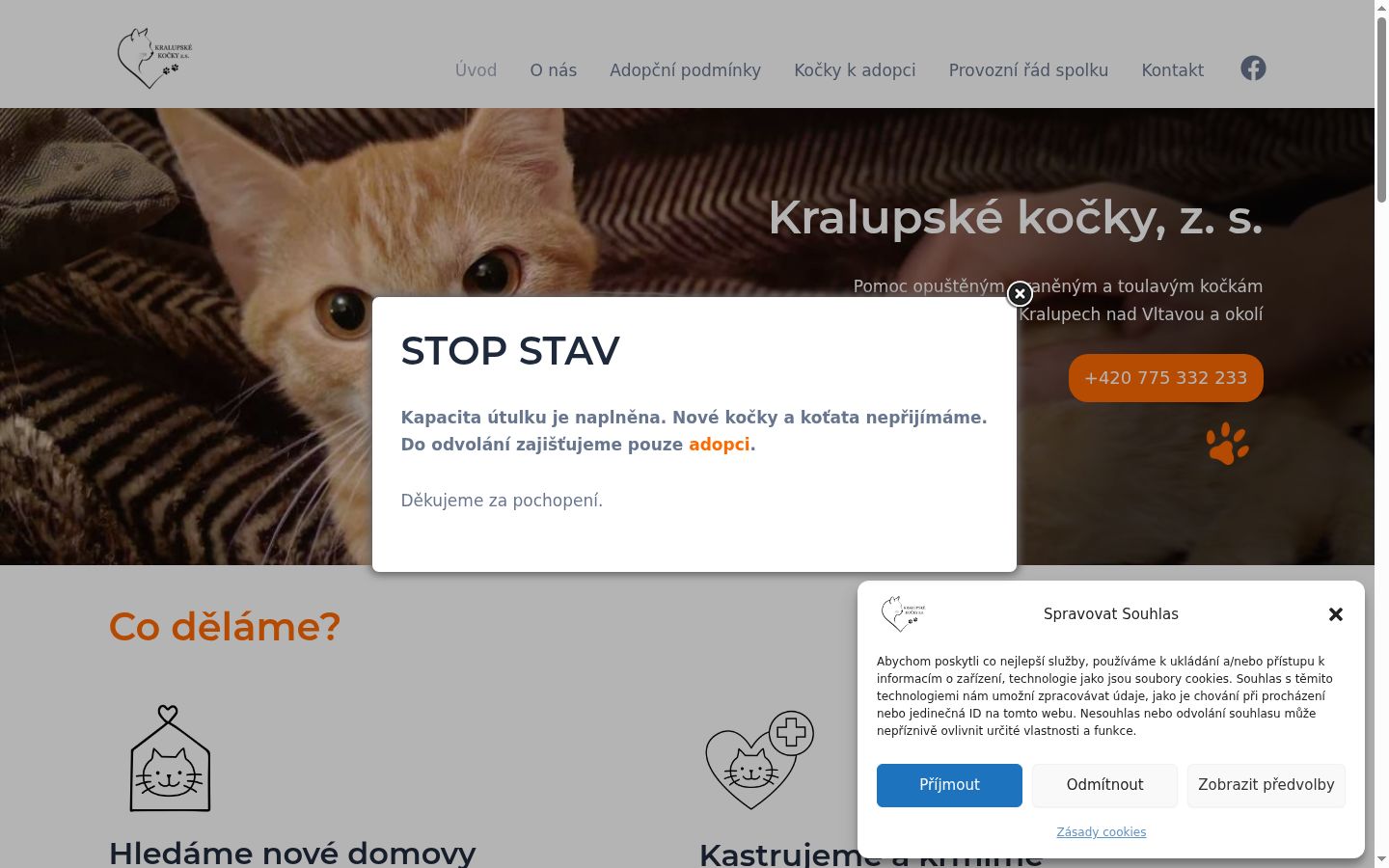 Ekrānuzņēmums ar piekrišanas baneri, kas tika rādīts pirms jebkādas mijiedarbības
