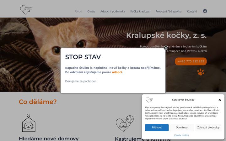 Screenshot of kralupske-kocky.cz