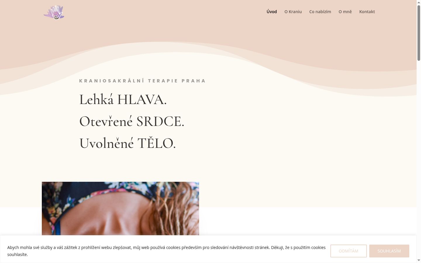 Skærmbillede af samtykkebanneret, som det blev vist før nogen interaktion
