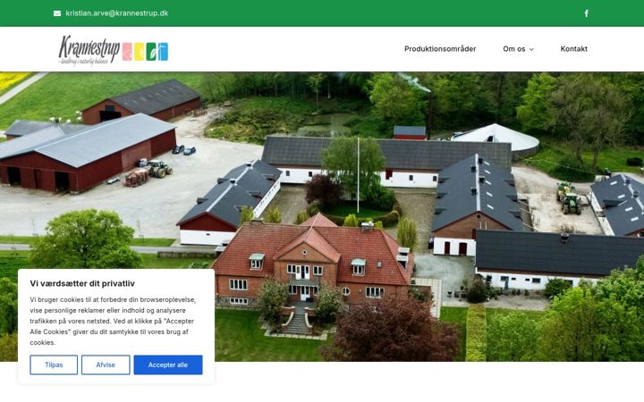 Screenshot of krannestrup.dk