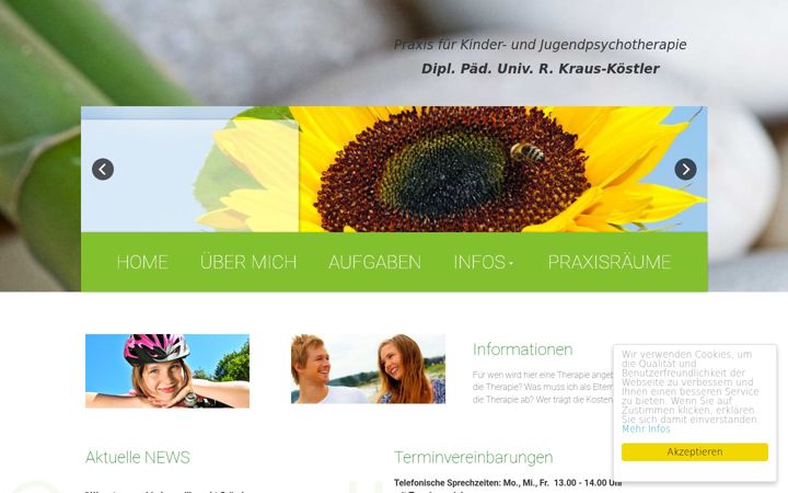 Screenshot of kraus-koestler.de