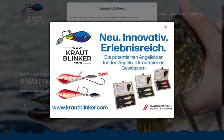 Screenshot of krautblinker.com