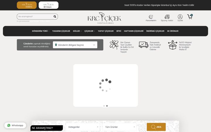 Screenshot of krccicek.com
