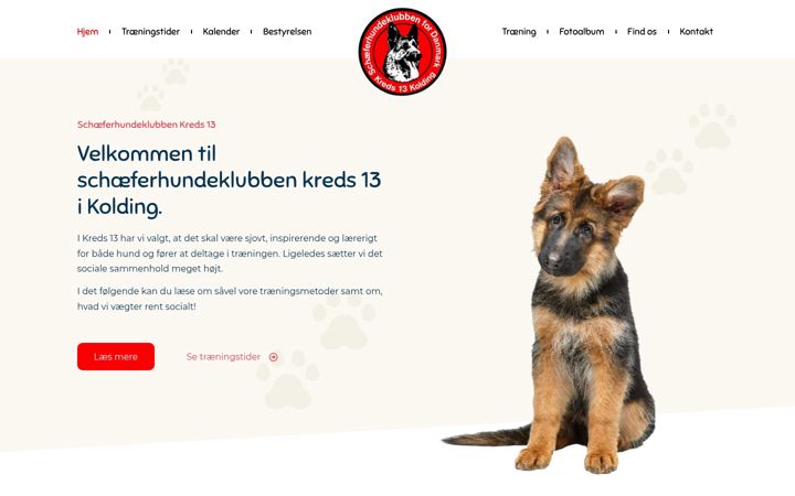 Screenshot of kreds13.dk
