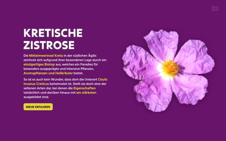 Screenshot of kretische-zistrose.de