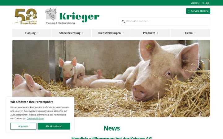 Screenshot of krieger-ag.ch
