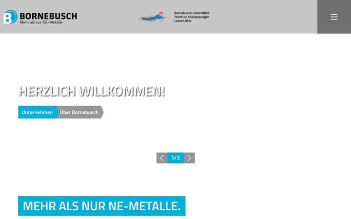 Screenshot of krisch-metalle.de