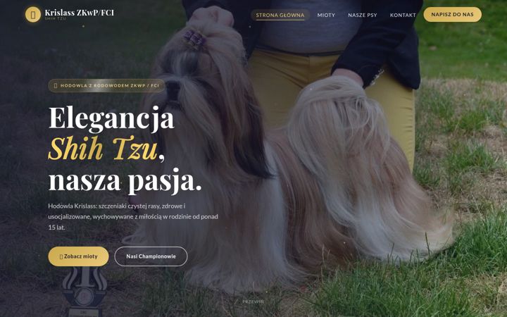 Screenshot di krislass.com