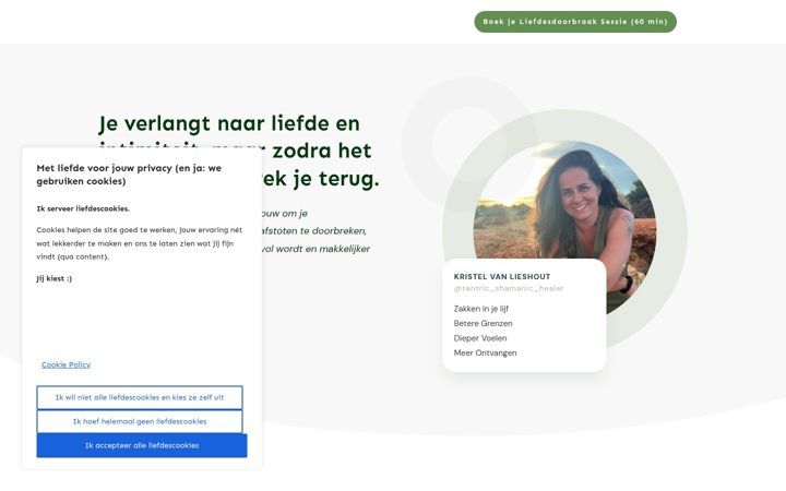 Screenshot of kristelvanlieshout.nl