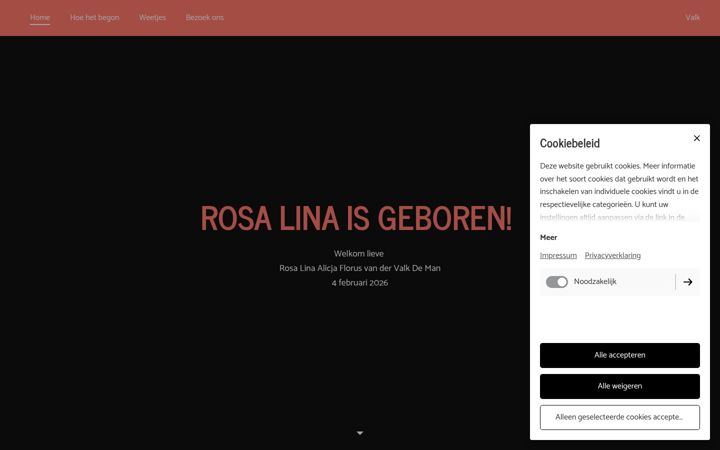 Screenshot of kristienenlucasbaby.nl