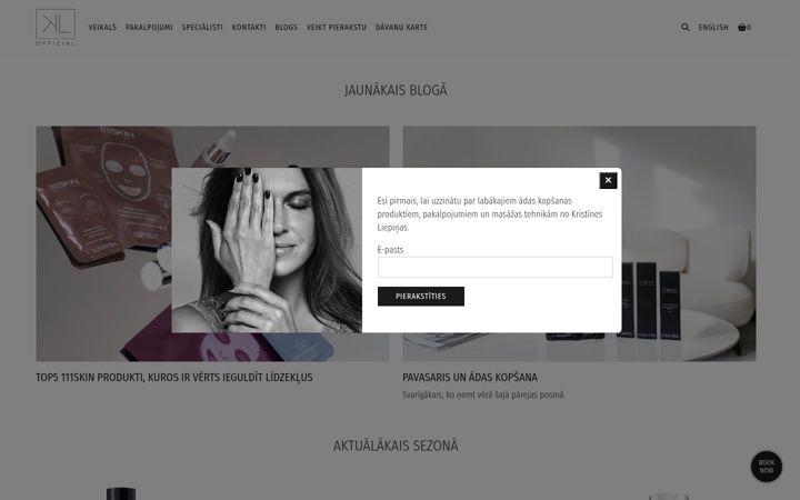 Screenshot of kristineliepina.com