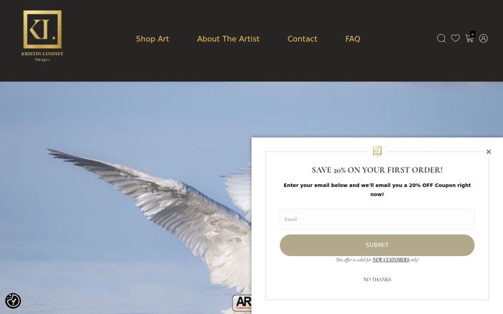 Screenshot of kristinlindseyimages.com