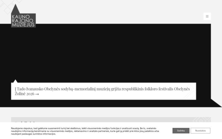 Screenshot of krmuziejus.lt