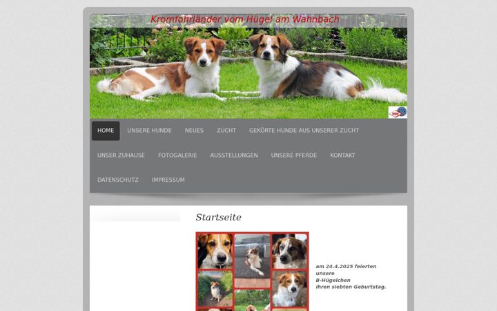 Screenshot of kromfohrlaender-much.de