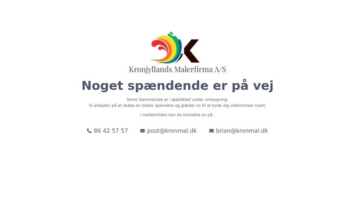 Screenshot of kronmal.dk