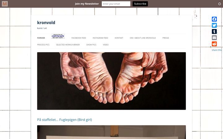 Screenshot of kronvold.com