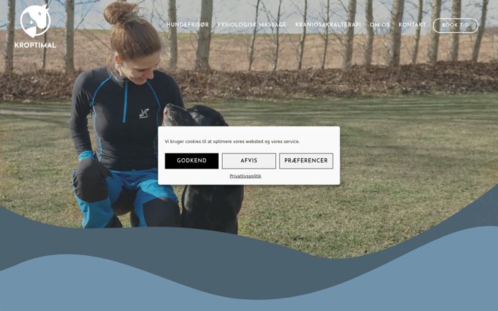 Screenshot of kroptimal.com